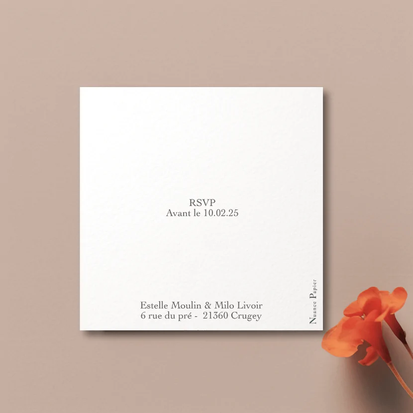 Coquelicot – Image 3