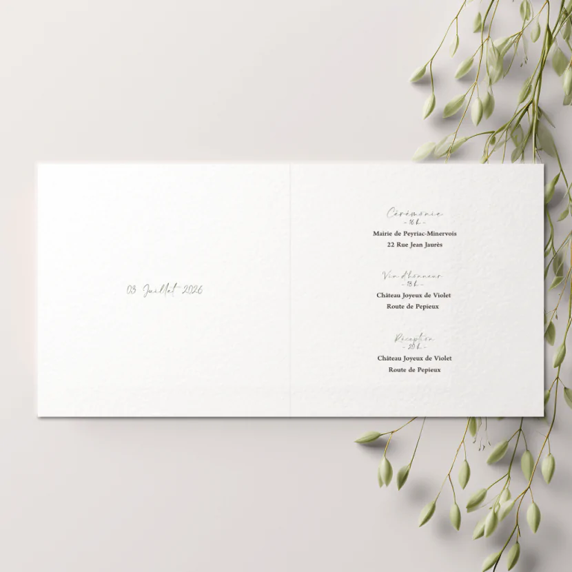 Saule Pleureur – Image 2