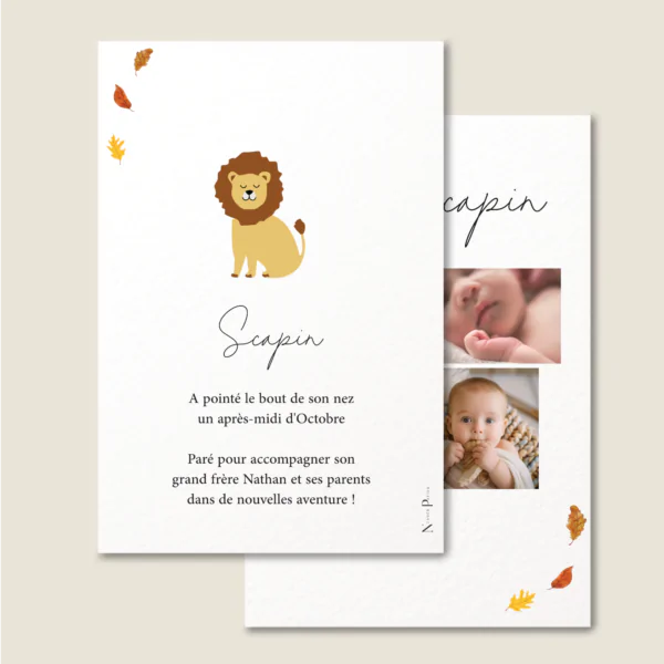Mini lion – Image 2