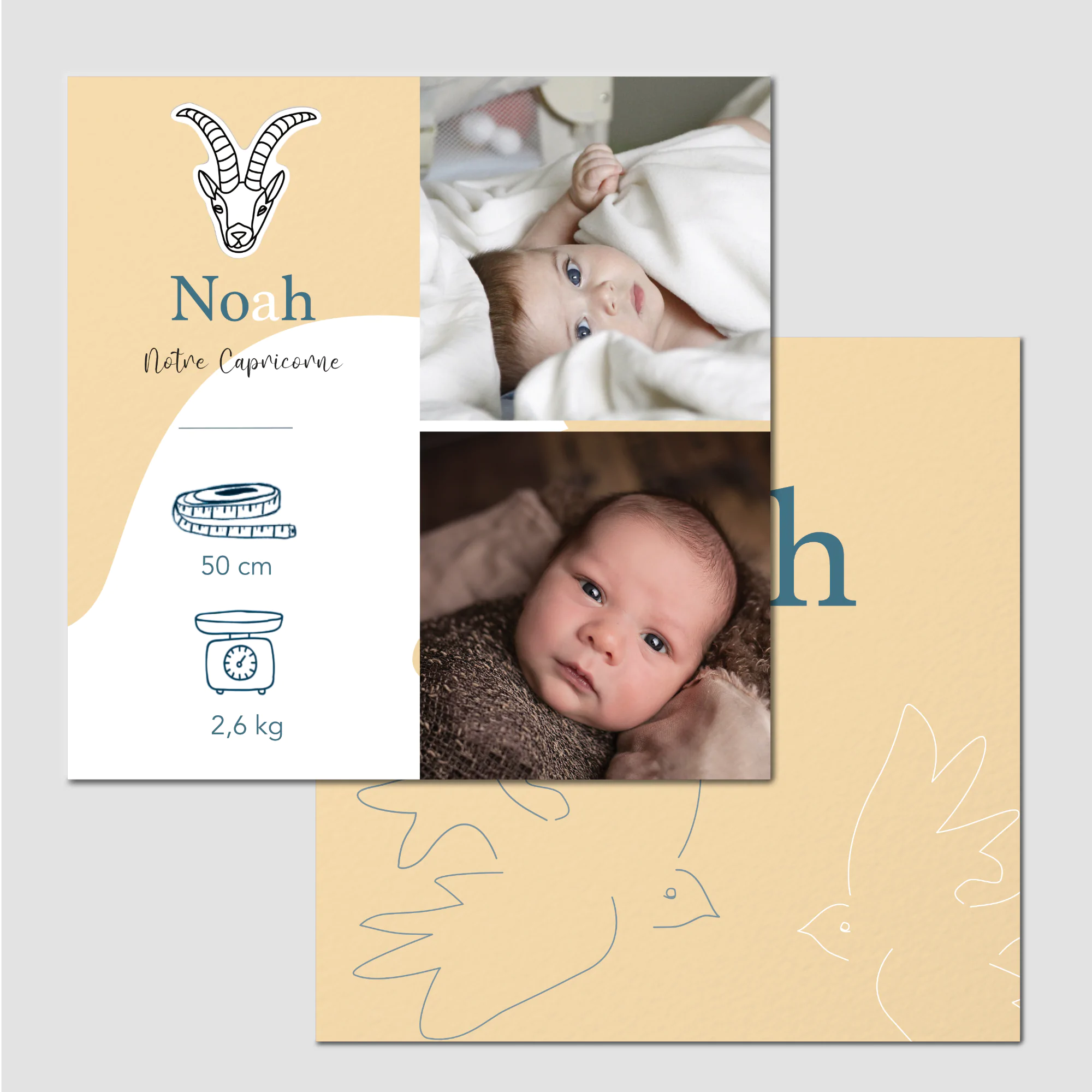 Envole – Image 2